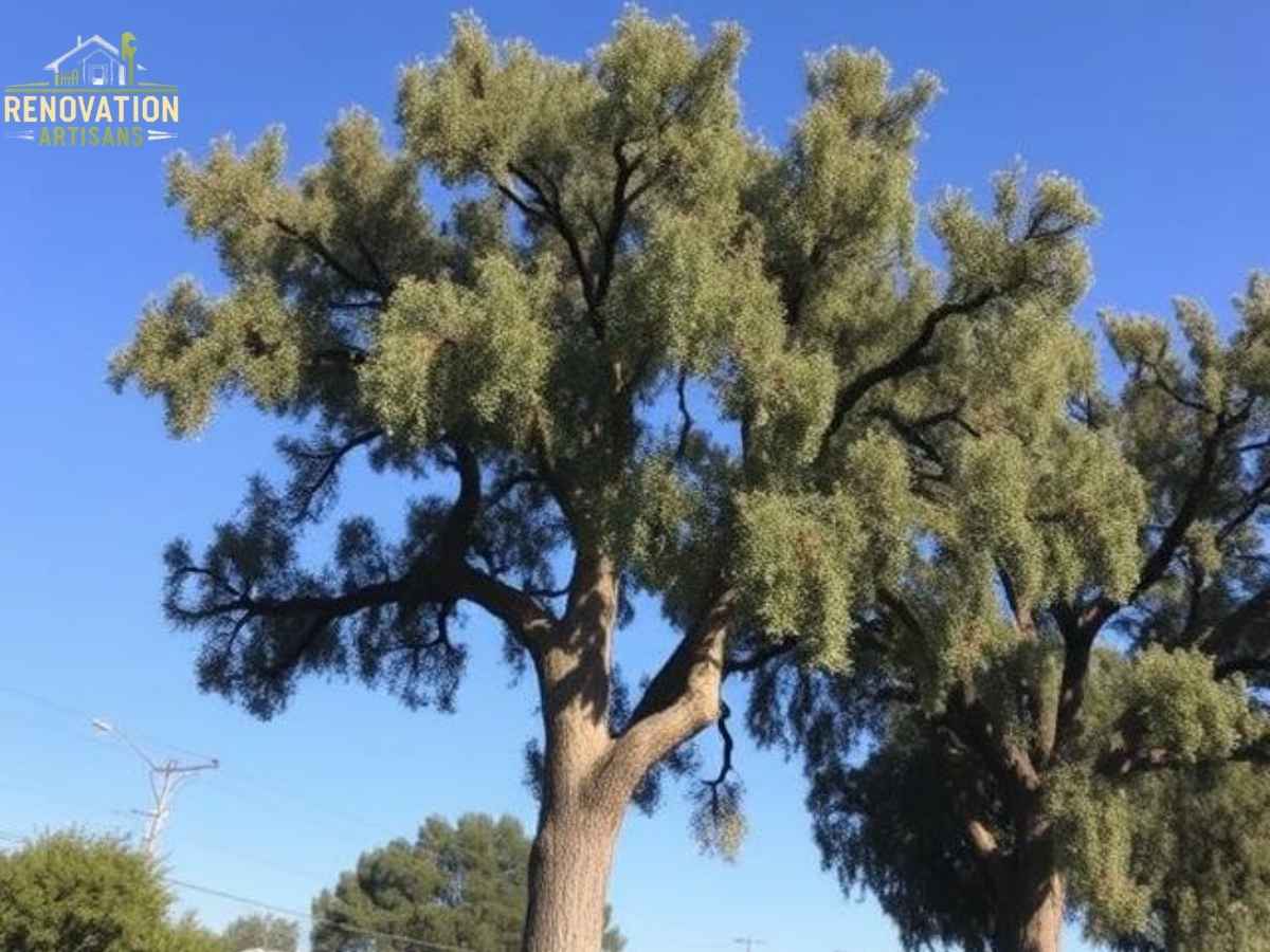 Sacramento Tree Service for Oak Blight in Los Angeles: The Ultimate Hyper-Local Guide