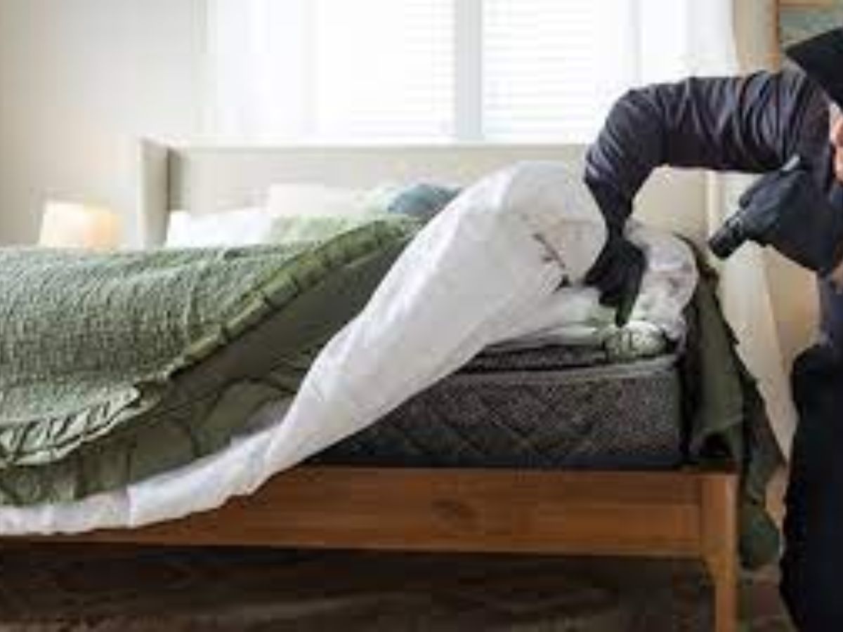 Emergency Bed Bug Exterminator Los Angeles 24 Hour Service