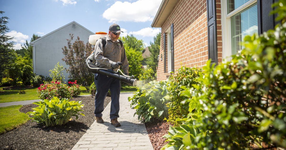 Green Pest Solutions Los Angeles: The Ultimate Guide to Organic Pest Prevention